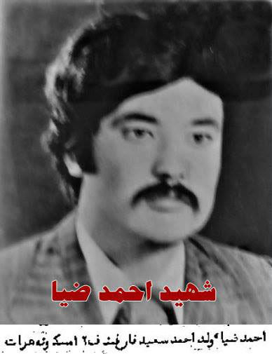 Photographs and immageries